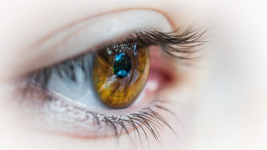 Das menschliche Auge hat circa 60 Dioptrien